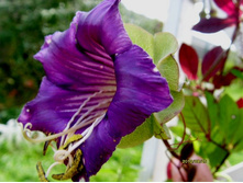 ����� �����.JPG