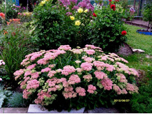 ������ ������.JPG