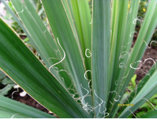 ���� ��������.JPG