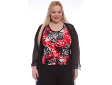 d126rouno_(���� 680�).jpg