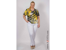 c1121jau_(���� 780�).jpg