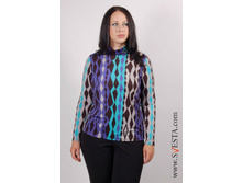 c758vi_(���� 650�).jpg