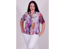 c971ble_(���� 720�).jpg