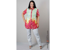 c861rou_(���� 720�).jpg