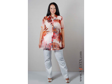 c760bri_(���� 500�).jpg