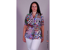 c861ble_(���� 720�).jpg