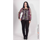 c873an_(���� 780�).jpg