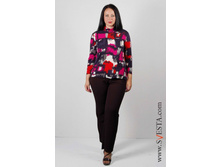 c758an_(���� 520�).jpg