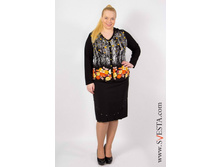 c450no_(���� 520�).jpg