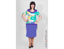 c1006vi(���� 320�).jpg