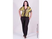 c1003-1no(���� 320�).jpg