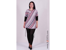 c958gr(���� 620�).jpg