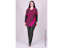 c958fra(���� 620�).jpg