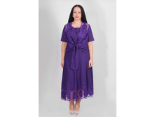 c825vi(���� 620�).jpg