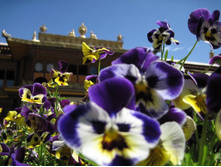 ������ ���������� ����� ���� ��� ������ ����...