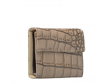 ORION ( ���. K00401 (beige) )