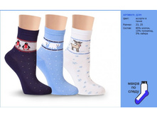 ���� 51���-�3�