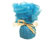 ���.62 ���.jpg