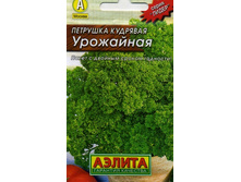 �������� �������� ���������.jpg