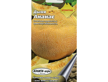 ���� ������.jpg