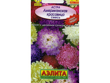 ����� ������������ ��������� ���������, �����_3,49 ���.jpg