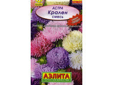 ����� ������ ���������, �����.jpg