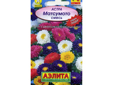 ����� ��������� ���������, �����.jpg