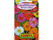 �������� �������� ��������������� ������, �����.jpg