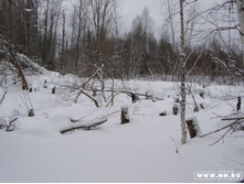 ������� �����