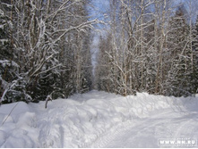 ��� ���� ������