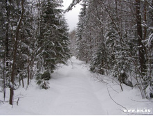 ������� ���