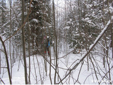 ��*��, �� ���� �����....