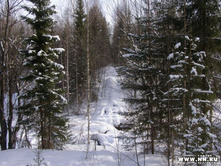 ��� ���������....