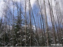 �������� ����