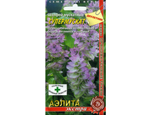 ������ ��������� �����������.jpg