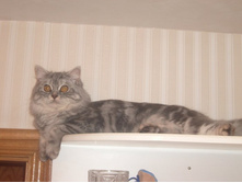 08.06.2010 15:47:45