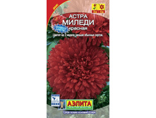 ����� ������ ������� 5,49 ���