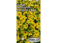 ������ ��������� ������ ���� 4,30 ���