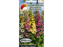 ����������� �������� ���������, ����� 4,80 ���