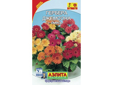 ������� ��������, ����� 12,30 ���