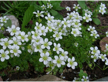 ���������� �����