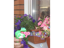 79 ���. �������� �������.jpg