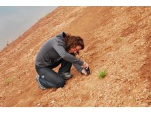 ����������� � ����������