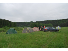 ��� ������