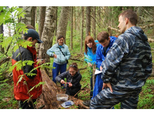 ������ ����