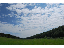 ������ - ���������� �������