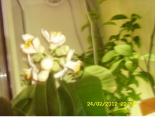 �������.