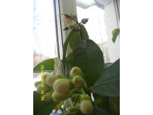 �������)