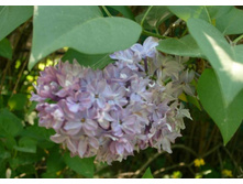 �������� ������