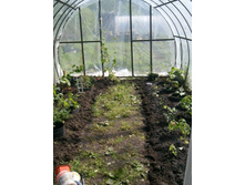 ��� \"���������\"